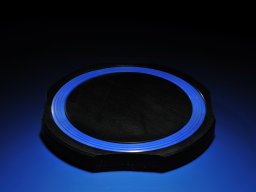 blanke_abgekapselter_ring_2kom